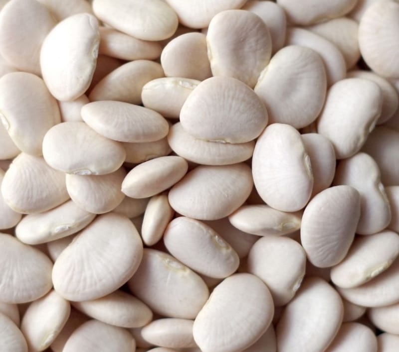 24 lb Baby Lima Beans 5 gallon