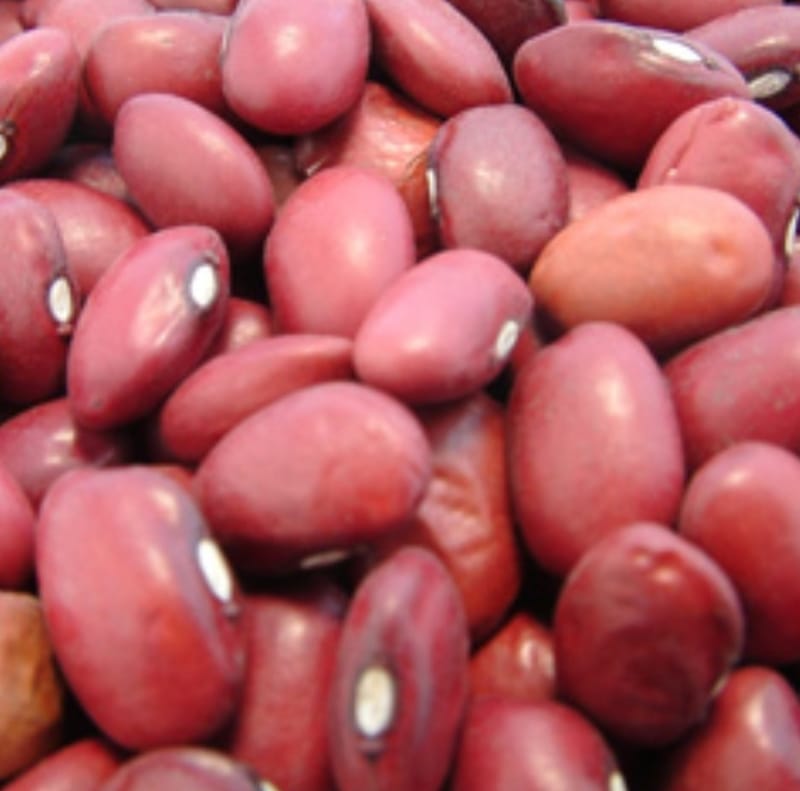 24 lb Small Red Beans 5 gallon