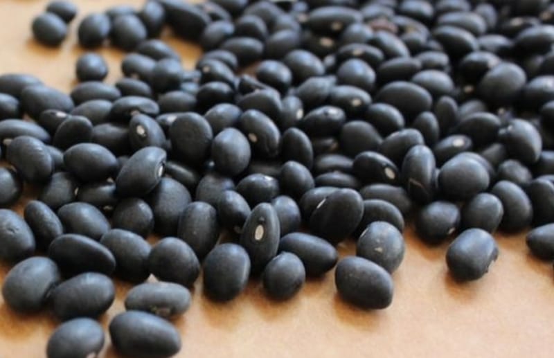 24 lb Black Beans 5 gallon