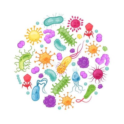 Vigilancia Epidemilógica