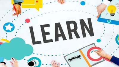 Advantages and disadvantages of supplementary materials