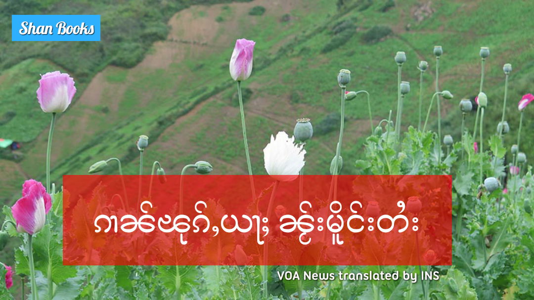 ၵၢၼ်ၽုၵ်ႇယႃႈ ၼႂ်းမိူင်းတႆး