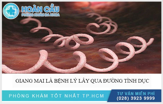 Bệnh Giang mai có chữa hết được không?