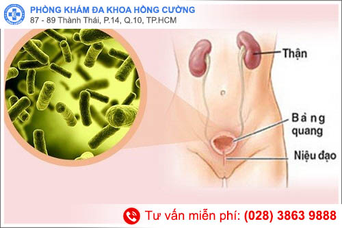 Cảnh giác nhiễm trùng tiểu ở nam giới