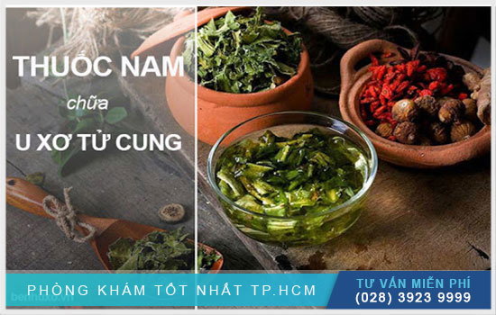 [Thông tin] Điều trị u xơ tử cung bằng thuốc nam