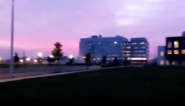 I shot all the photos in this album