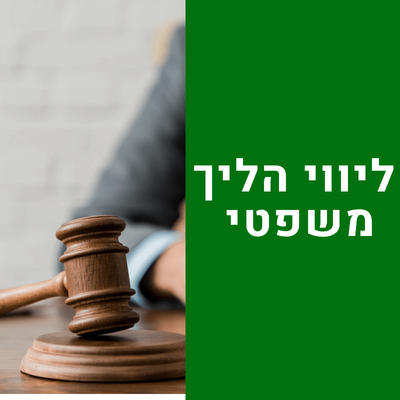 ליווי הליך משפטי