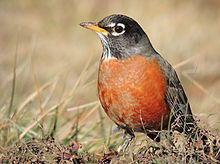 Blog 0: We Gotta Start Somewhere