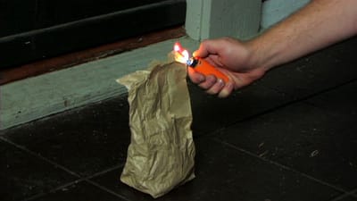 Blog 8: What to do when it's poop again...