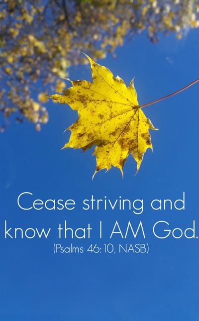 Blog 9: Cease Striving, Be Still