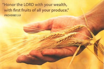 Blog 32: Modern Day First-Fruits