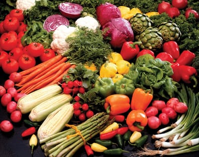 PLANTAS ALIMENTICIAS