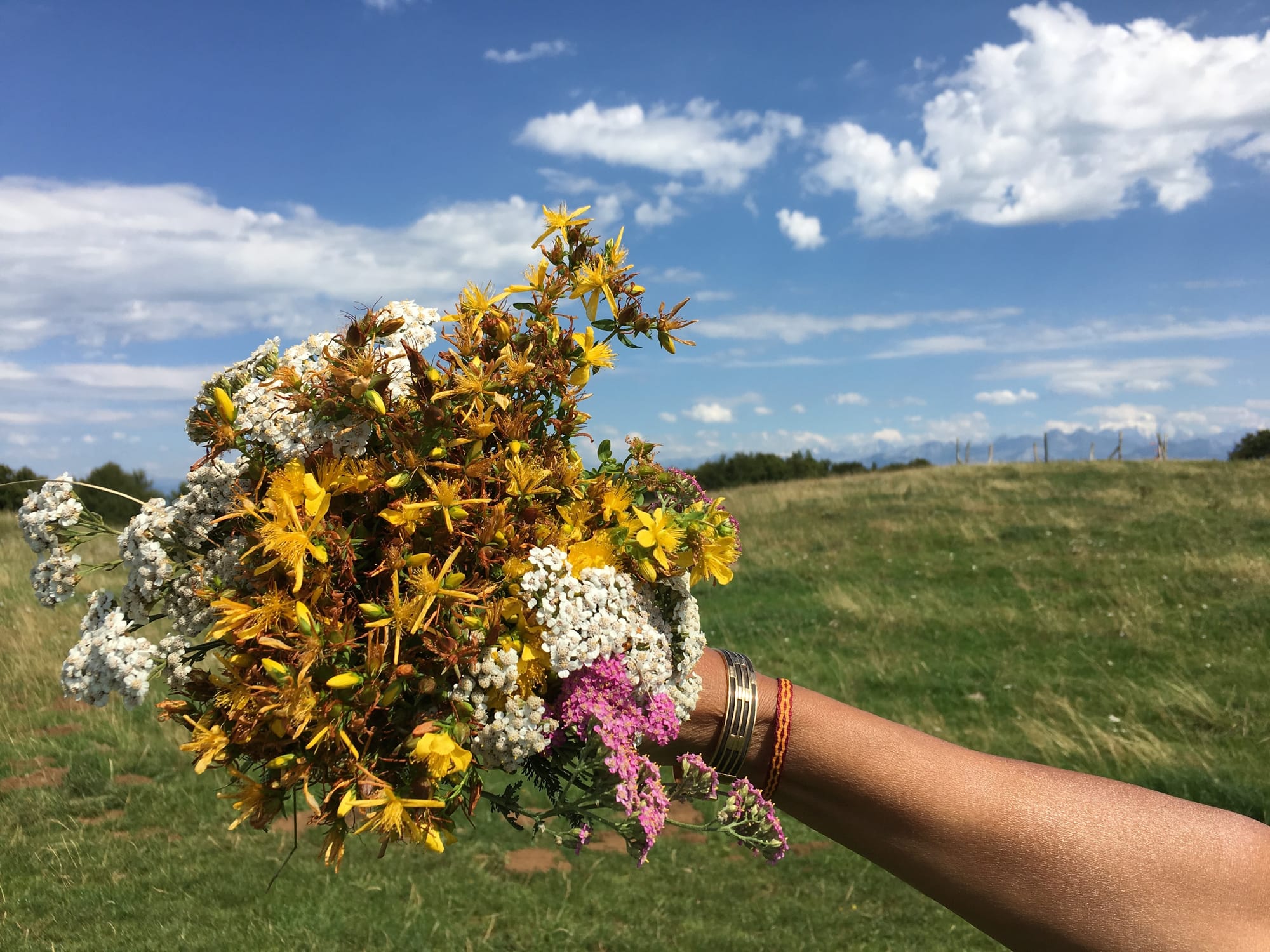 Petit bouquet des champs.