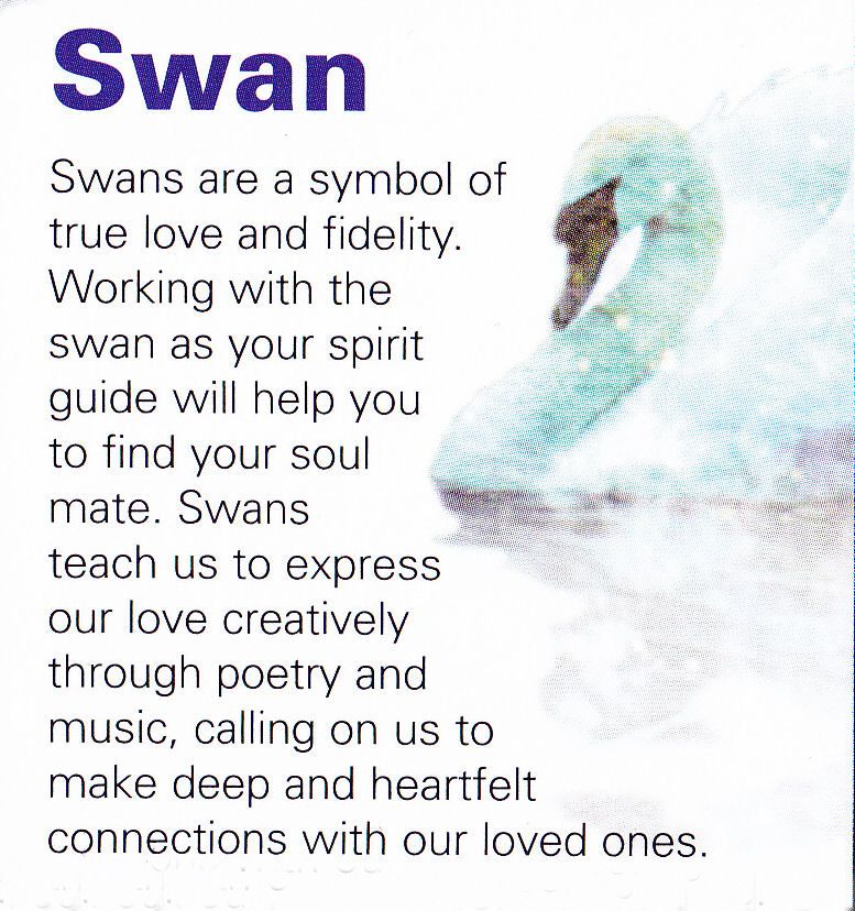 SWANS REMINDER