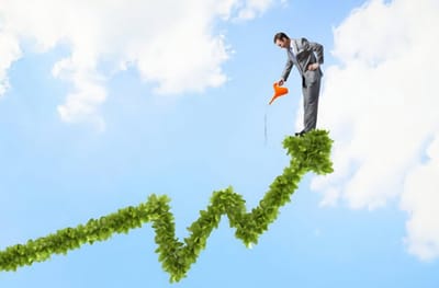 Increase your Business Horizons With Sticker Label Printing