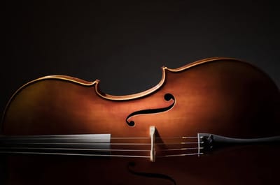 Violin Lessons for Children: What You Required to Know