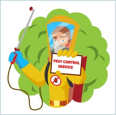 Eliminate Termites with Numerous Termite Products