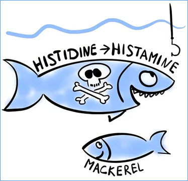 Scombroid Poisoning - The Outcome of Incorrectly Frozen Fish