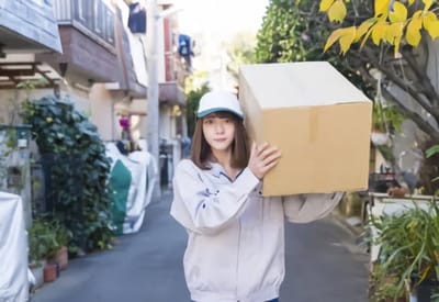 Why More Individuals are Choosing to Send Their Parcels Utilizing Parcel Delivery Firms