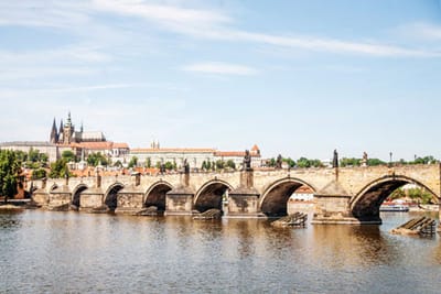 Region 2 of the Key Moldavite Certifiable parts