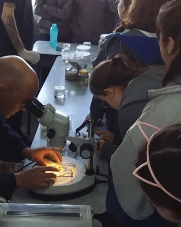 BACHILLER EN CIENCIAS NATURALES