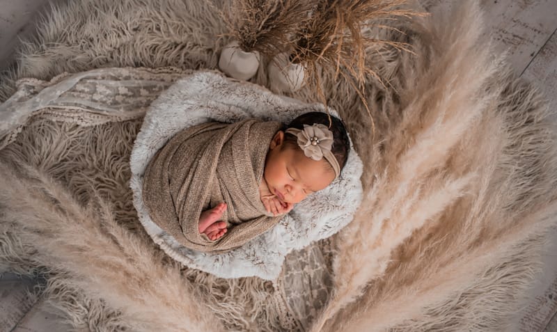 Reston studio newborn session/ Baby W's Session