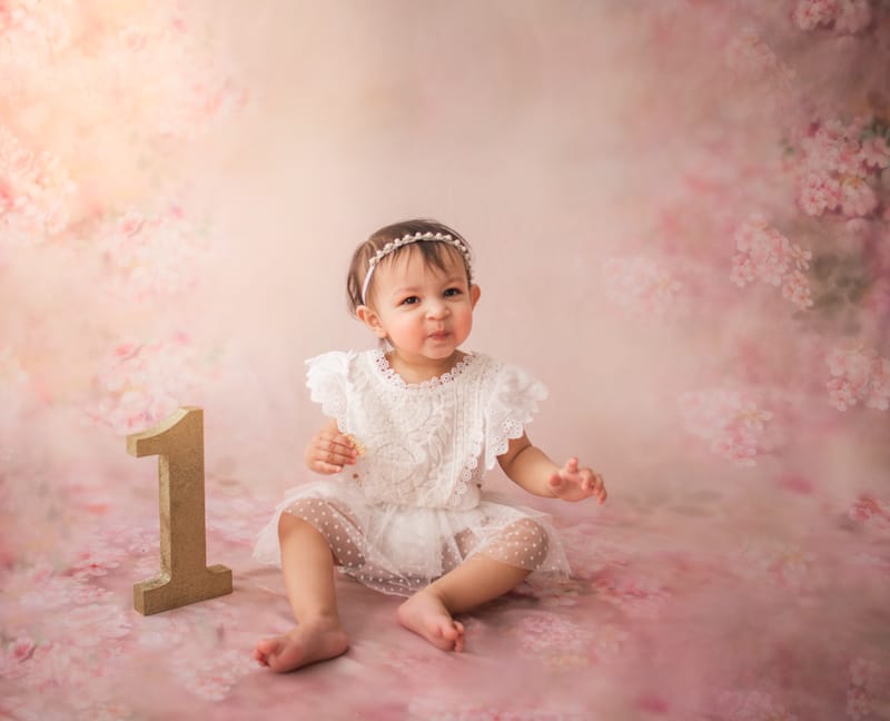 The Importance of Capturing Milestone Moments: A Reflection on the One Year Baby Milestone