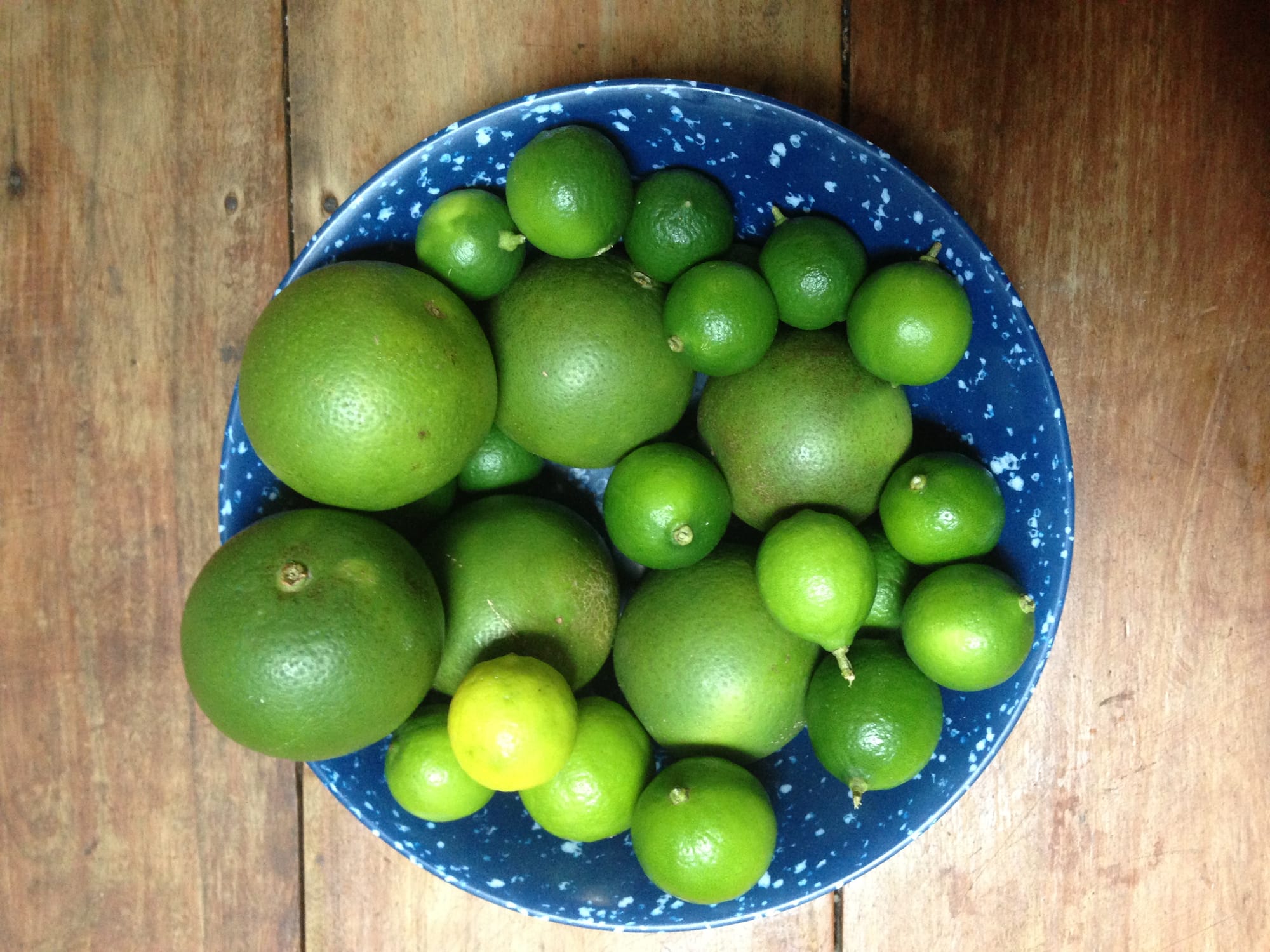 Limes and oranges (there are no orange oranges here)