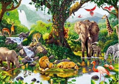 Reino animalia