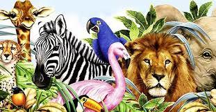 Reino Animalia