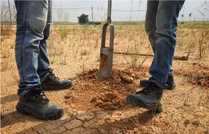 Get The Phase 2 Contamination Report Sydney – Contact The Experts