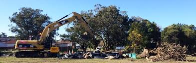 Phase 1 Contamination Report For Alarming Environmental Threats in Sydne