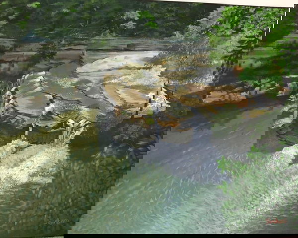 6.0 Cataract Falls - Indiana