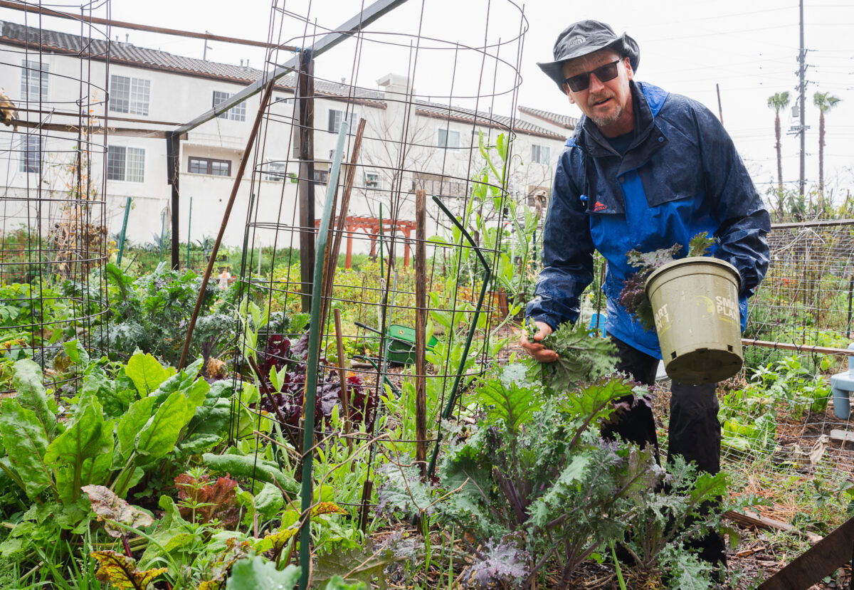 Long Beach has a flooding problem when it rains. Community gardeners say they can help • Long Beach Post News