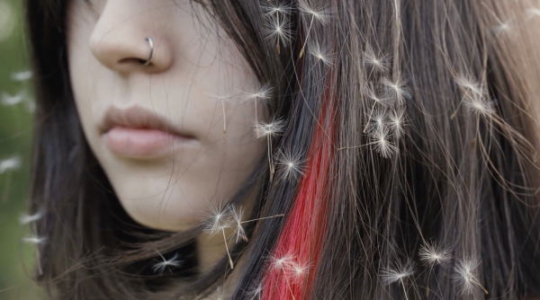 VIP FIELD TRIP PROGRAM - THE RENAISSANCE SOCIETY