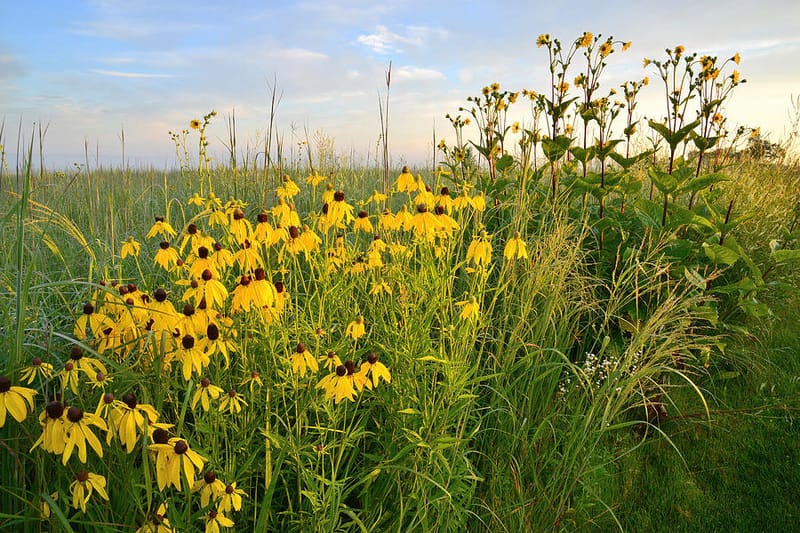 Program in the Garden - Plant the Seed!