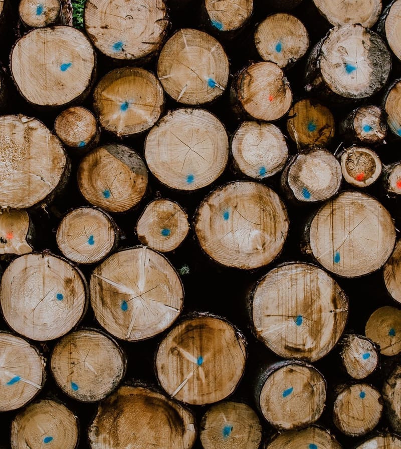 Análise financeira com utilização de procedimentos estatísticos de uma indústria do ramo de papel e celulose