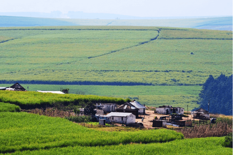 Land Tenure Systems in Uganda