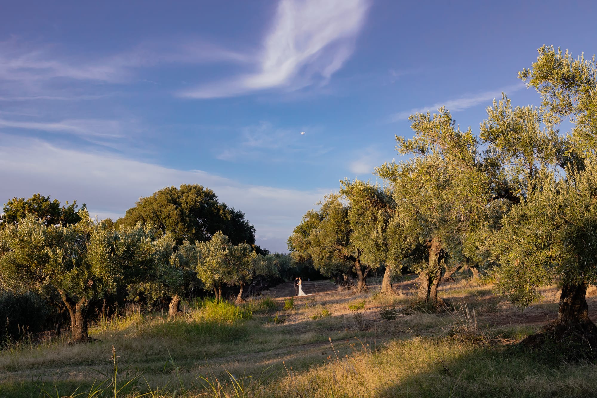 Un matrimonio elegante e senza tempo