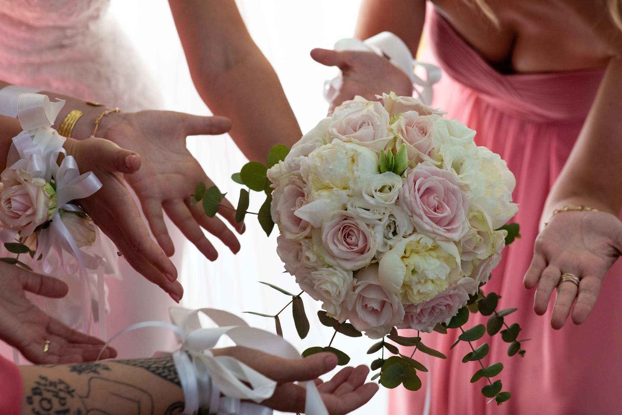 Sotto un cielo blu cobalto