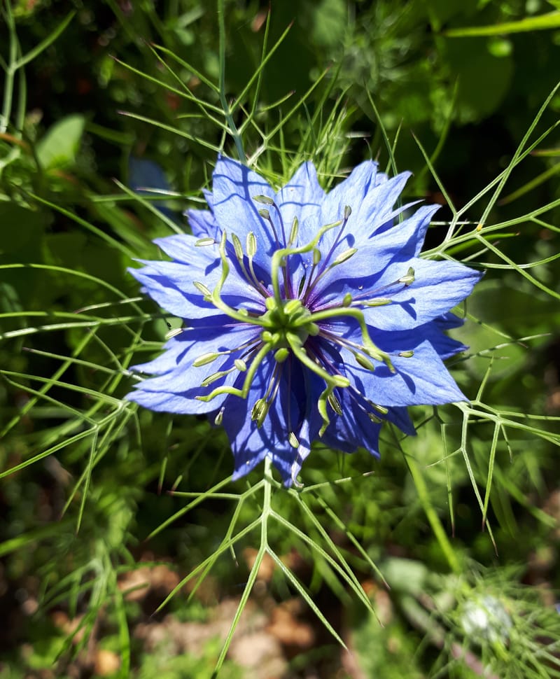 Hypersensible ! Hypersensible !         Est-ce que j'ai une gueule d'hypersensible !!!?