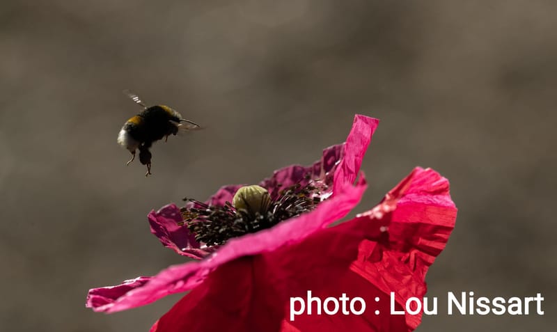 La vie est mouvement