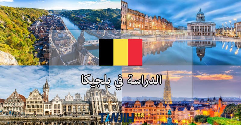 الدراسة فى بلجيكا