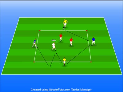 4V2+1 צמדים בצבעים