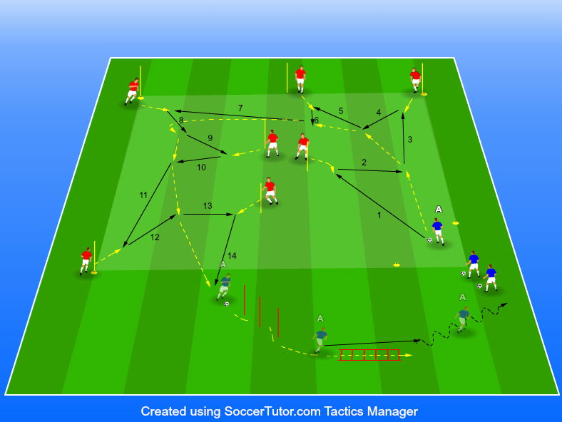 צירופים של מסירות כפולות בזוייות שונות