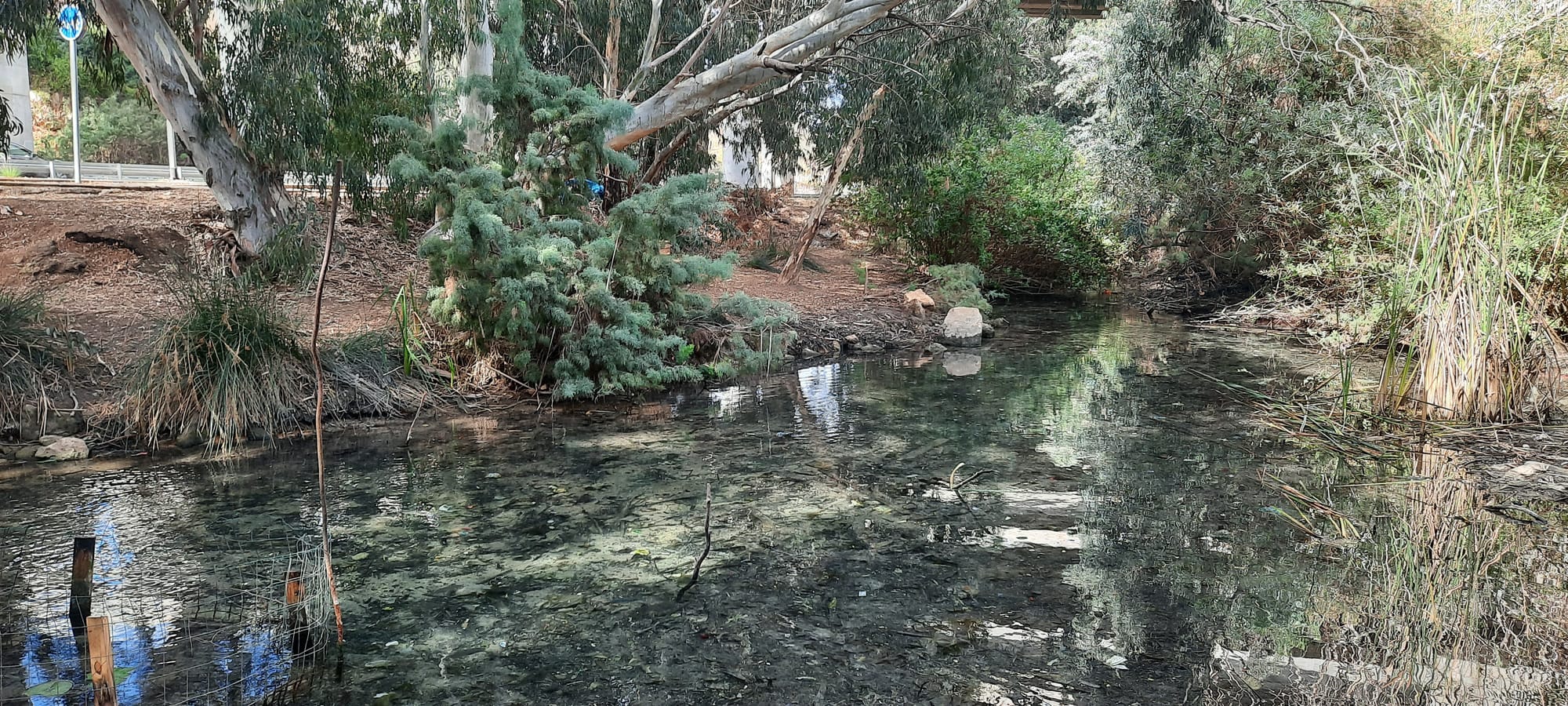 המלצות טיולים, מסלולים, מעיינות ואתרים חינמיים - איזור המרכז עד השרון הצפוני ומישור חוף הכרמל