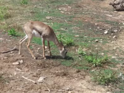 המלצות מסלולים ואתרים   - איזור ירושלים