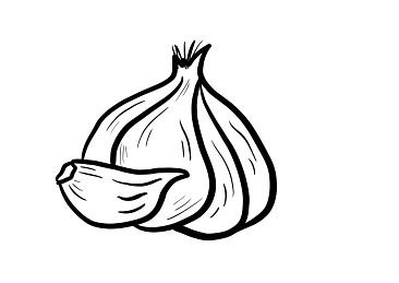 GARLIC