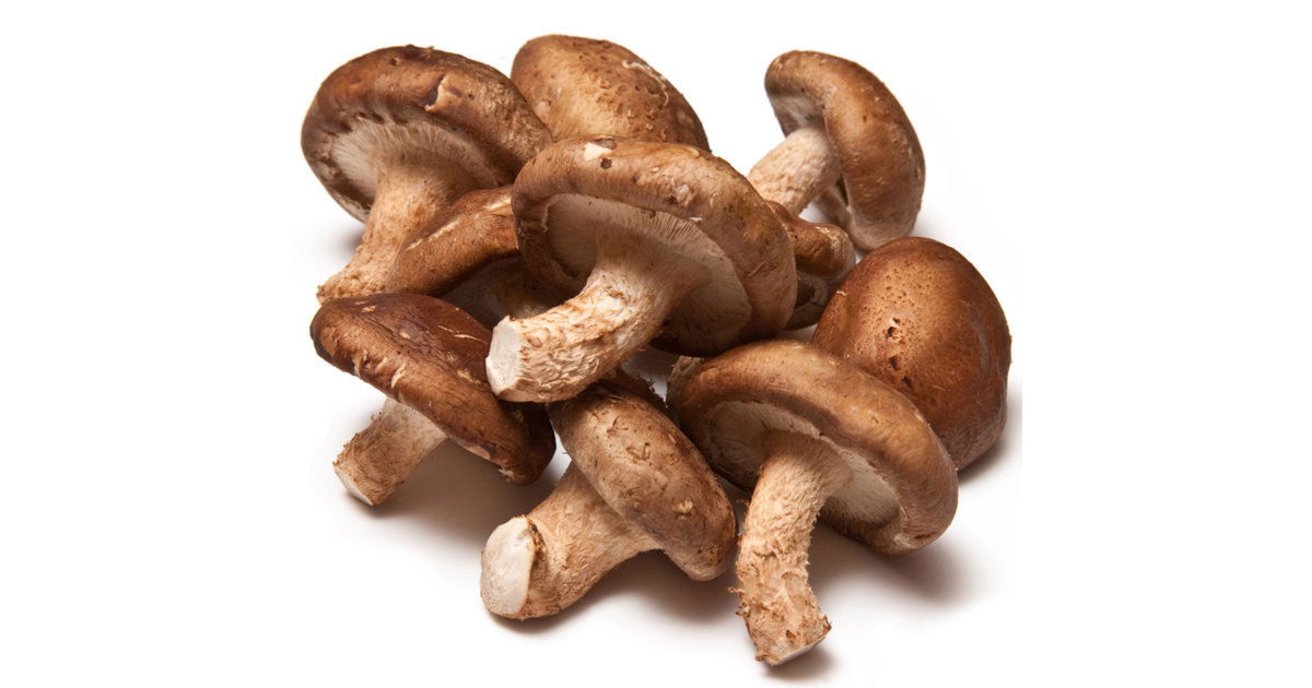 SHIITAKE