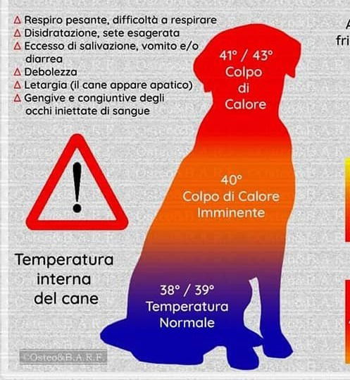 COLPO DI CALORE